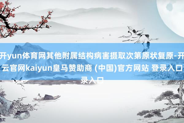 开yun体育网其他附属结构病害摄取次第原状复原-开云官网kaiyun皇马赞助商 (中国)官方网站 登录入口