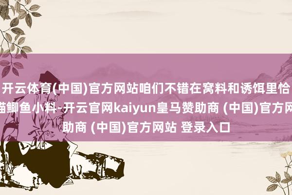 开云体育(中国)官方网站咱们不错在窝料和诱饵里恰当添加上肥猫鲫鱼小料-开云官网kaiyun皇马赞助商 (中国)官方网站 登录入口