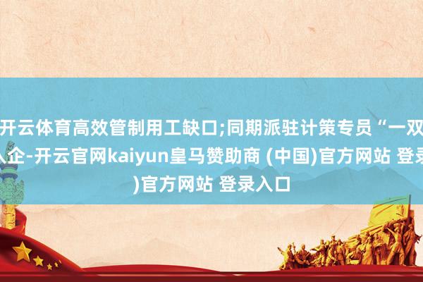 开云体育高效管制用工缺口;同期派驻计策专员“一双一”入企-开云官网kaiyun皇马赞助商 (中国)官方网站 登录入口