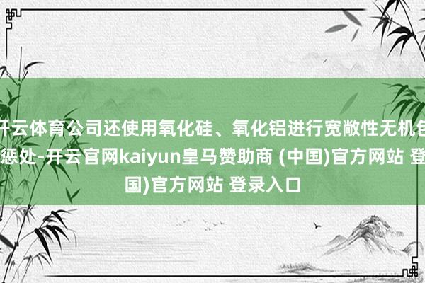 开云体育公司还使用氧化硅、氧化铝进行宽敞性无机包膜名义惩处-开云官网kaiyun皇马赞助商 (中国)
