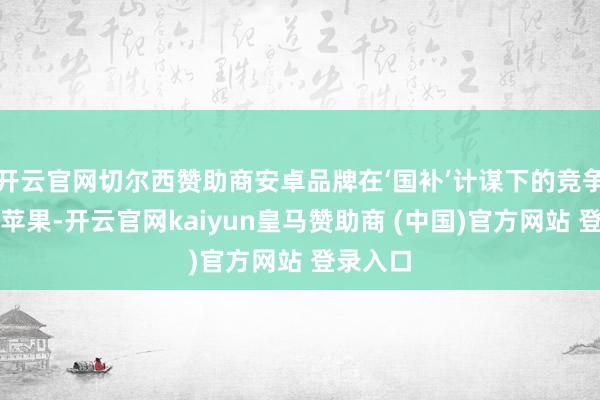 开云官网切尔西赞助商安卓品牌在‘国补’计谋下的竞争力远超苹果-开云官网kaiyun皇马赞助商 (中国