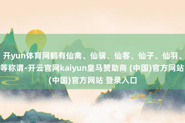 开yun体育网鹤有仙禽、仙骥、仙客、仙子、仙羽、蓬莱谈士等称谓-开云官网kaiyun皇马赞助商 (中
